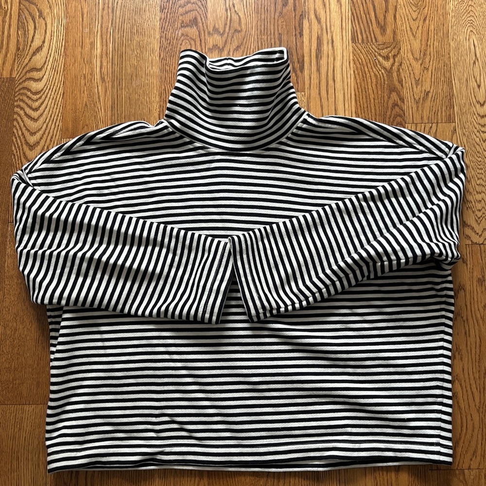 Everlane The Turtleneck Swearshirt